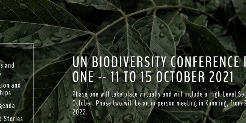 COP15: XV Conferencia De Las Partes Del Convenio Sobre Diversidad Biológica